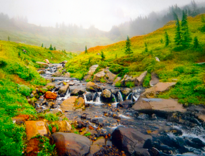 A foggy mountainside with a creek flowing down, featuring a small waterfall. The landscape is primarily covered in green grass, with a few scattered trees.